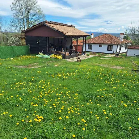 Sunny * Boykovtsi